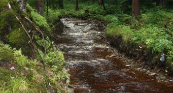 Wyjazd studyjny „Woda i środowisko – ochrona zasobów wodnych w powiecie świdnickim”