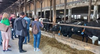 Obora dla bydła mlecznego Top Farms Głubczyce