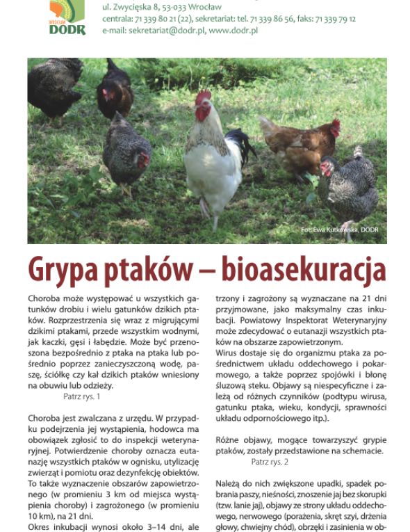 Grypa ptaków – bioasekuracja pdf